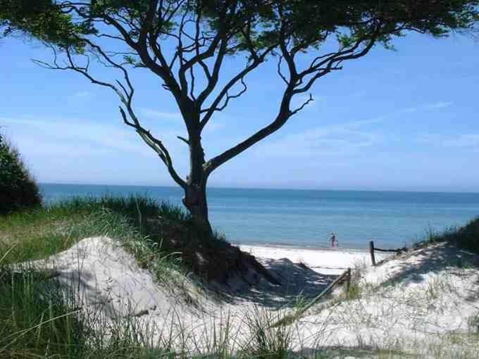 Ferienwohnung Suen Zingst Luaran gambar